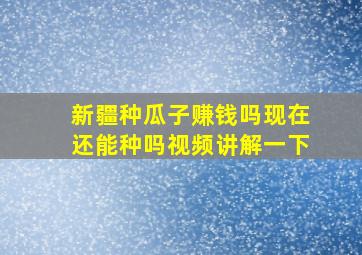 新疆种瓜子赚钱吗现在还能种吗视频讲解一下