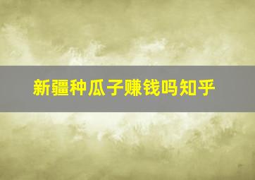 新疆种瓜子赚钱吗知乎