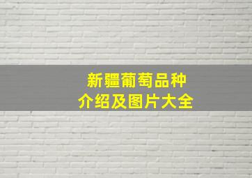 新疆葡萄品种介绍及图片大全