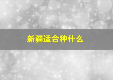 新疆适合种什么