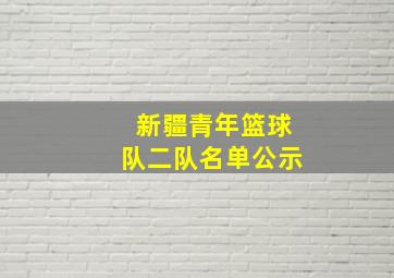 新疆青年篮球队二队名单公示