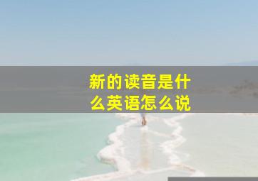 新的读音是什么英语怎么说