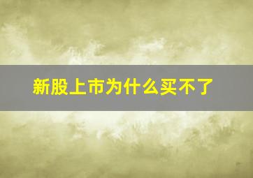 新股上市为什么买不了