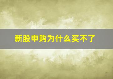 新股申购为什么买不了