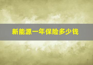 新能源一年保险多少钱