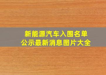 新能源汽车入围名单公示最新消息图片大全