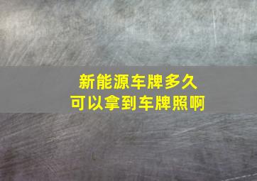 新能源车牌多久可以拿到车牌照啊