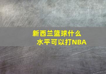 新西兰篮球什么水平可以打NBA