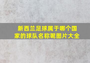 新西兰足球属于哪个国家的球队名称呢图片大全