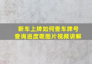 新车上牌如何查车牌号查询进度呢图片视频讲解