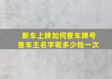 新车上牌如何查车牌号查车主名字呢多少钱一次