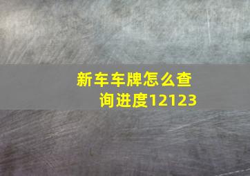 新车车牌怎么查询进度12123