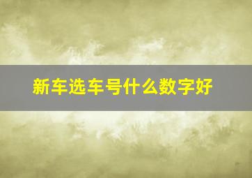 新车选车号什么数字好