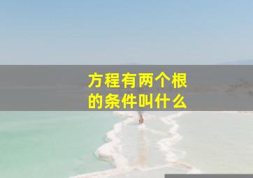 方程有两个根的条件叫什么