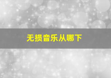 无损音乐从哪下