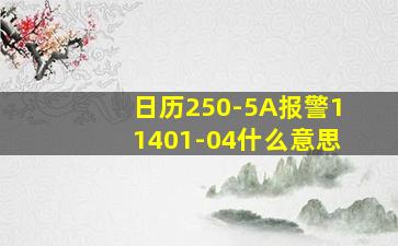 日历250-5A报警11401-04什么意思