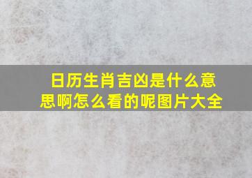 日历生肖吉凶是什么意思啊怎么看的呢图片大全