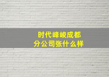 时代峰峻成都分公司张什么样