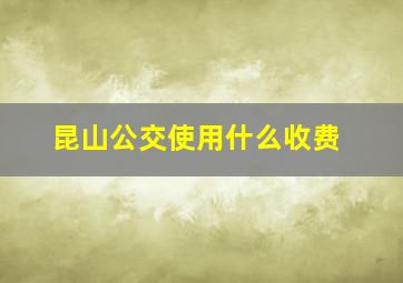 昆山公交使用什么收费