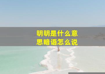 明明是什么意思暗语怎么说