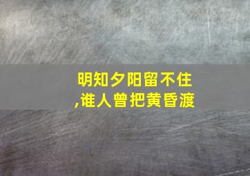 明知夕阳留不住,谁人曾把黄昏渡