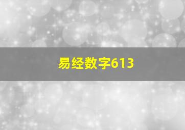 易经数字613