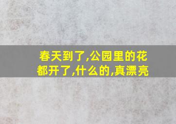 春天到了,公园里的花都开了,什么的,真漂亮