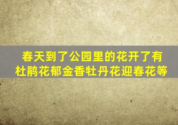 春天到了公园里的花开了有杜鹃花郁金香牡丹花迎春花等