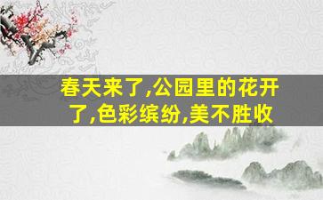 春天来了,公园里的花开了,色彩缤纷,美不胜收