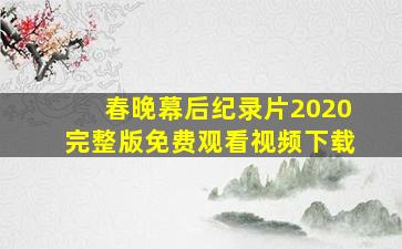 春晚幕后纪录片2020完整版免费观看视频下载