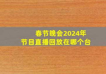 春节晚会2024年节目直播回放在哪个台