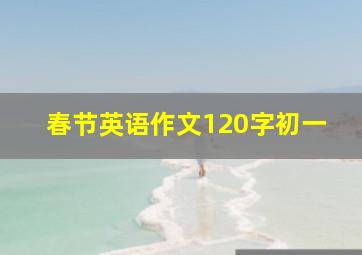 春节英语作文120字初一