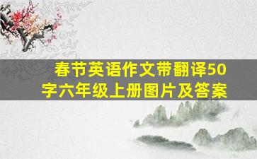 春节英语作文带翻译50字六年级上册图片及答案