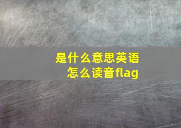 是什么意思英语怎么读音flag