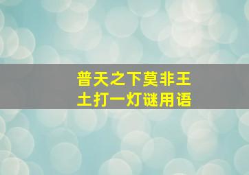 普天之下莫非王土打一灯谜用语