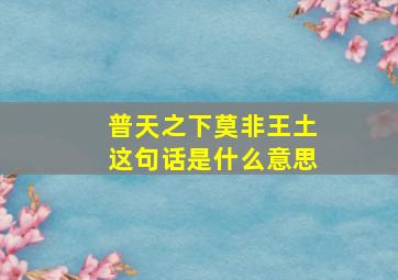 普天之下莫非王土这句话是什么意思