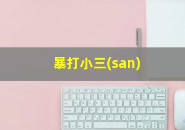 暴打小三(san)