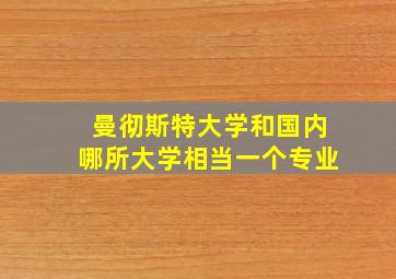 曼彻斯特大学和国内哪所大学相当一个专业