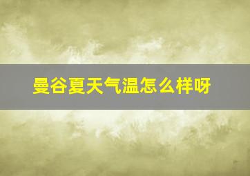 曼谷夏天气温怎么样呀