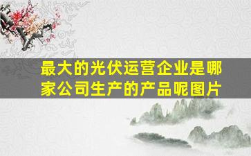 最大的光伏运营企业是哪家公司生产的产品呢图片