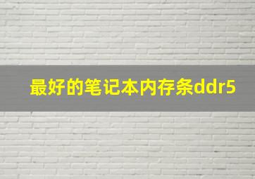 最好的笔记本内存条ddr5