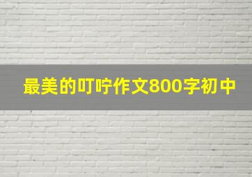 最美的叮咛作文800字初中