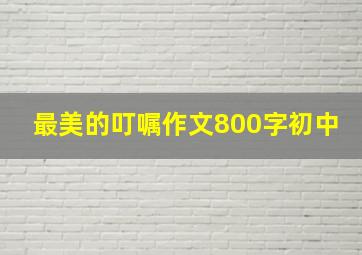 最美的叮嘱作文800字初中