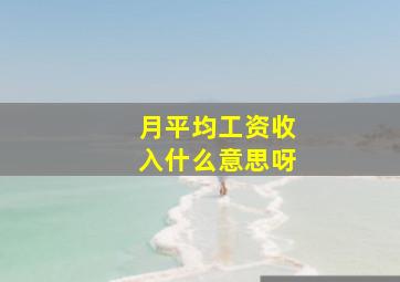 月平均工资收入什么意思呀