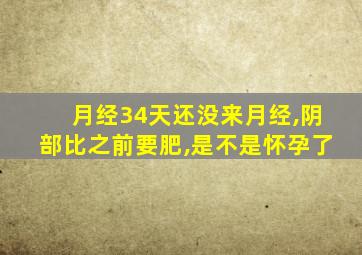 月经34天还没来月经,阴部比之前要肥,是不是怀孕了