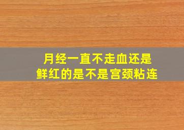 月经一直不走血还是鲜红的是不是宫颈粘连