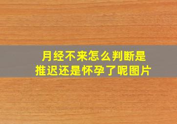 月经不来怎么判断是推迟还是怀孕了呢图片