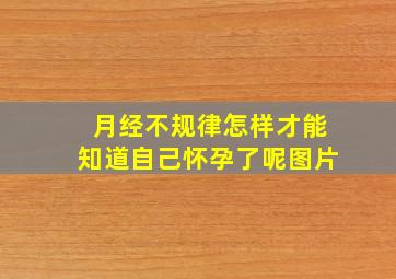 月经不规律怎样才能知道自己怀孕了呢图片