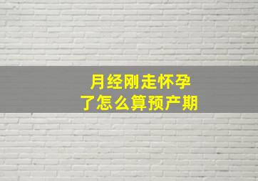 月经刚走怀孕了怎么算预产期