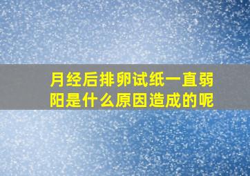 月经后排卵试纸一直弱阳是什么原因造成的呢